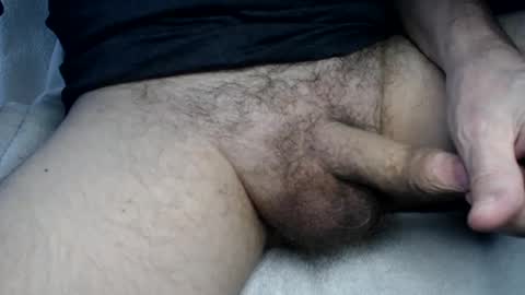 el gato lusty online show from March 2025 08:20:02 AM