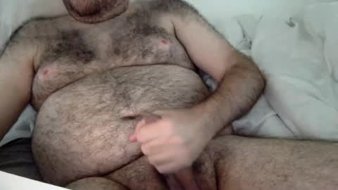elabear online show from August 2026 04:16:02 PM