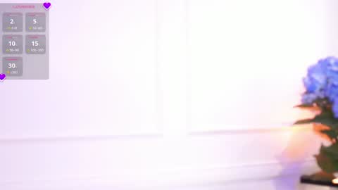 Snapshot of elasummeer chatting on December 2024 11:43:02 AM Elasummeer online show from December 2024 11:43:02 AM