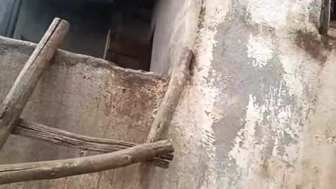 Snapshot of eldie69 chatting on November 2025 10:51:01 AM eldie69 online show from November 2025 10:51:01 AM