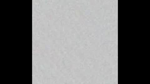 Snapshot of elephant_titus chatting on January 2025 11:02:02 AM elephant_titus online show from January 2025 11:02:02 AM