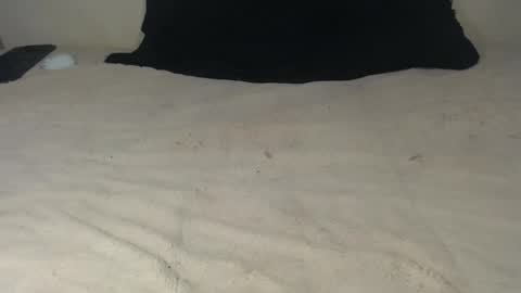 elgsslt online show from October 2025 12:00:02 AM