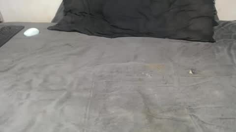 elgsslt online show from November 2025 03:38:02 PM