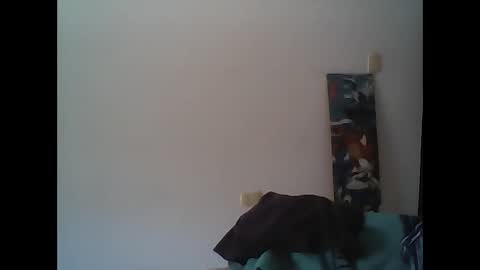 Snapshot of elirodd chatting on November 2025 12:07:01 PM Rod online show from November 2025 12:07:01 PM