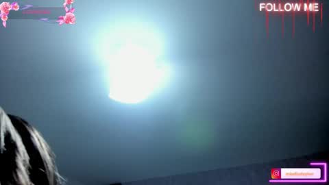 Snapshot of elise_leyton chatting on November 2025 01:03:02 AM ELISE LEYTON online show from November 2025 01:03:02 AM