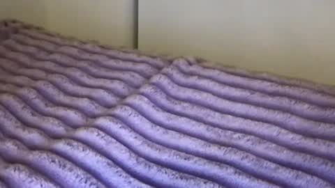 eliterd online show from November 2025 03:16:02 AM