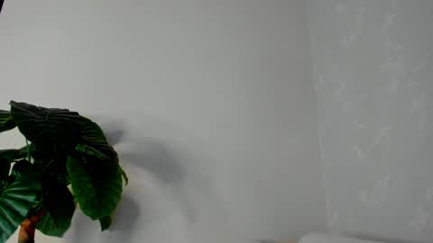 My name is ElizaPVT is open online show from February 2025 11:03:01 PM