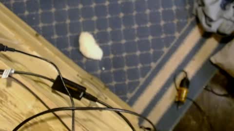 elizabeth_aron online show from March 2026 08:03:02 AM