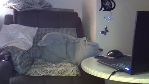 ellajohnsonx online show from March 2026 09:32:01 PM