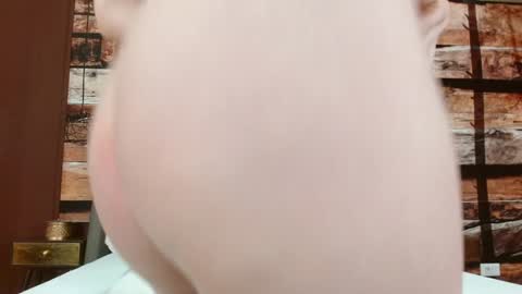 Elle online show from February 2025 06:40:01 AM