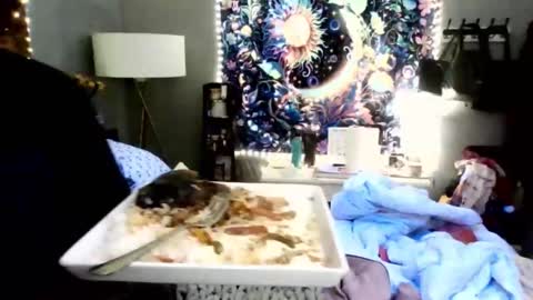 Lizzy Kay Petite online show from January 2025 03:23:02 AM