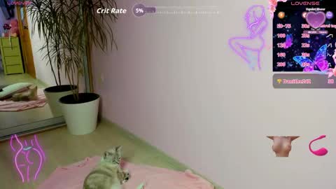 rosi online show from April 2026 02:03:02 AM