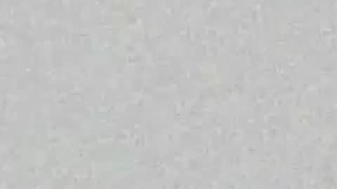 Ellie online show from June 2026 02:17:02 PM