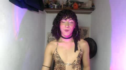  . online show from July 2026 12:06:01 AM