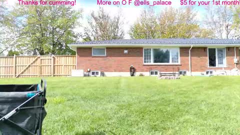 Ella Bella Bo Bella online show from May 2026 01:52:02 PM