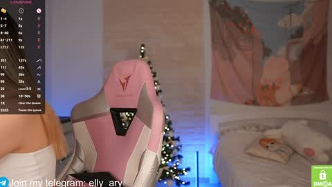 Snapshot of elly_ary chatting on January 2025 06:08:02 PM elly_ary online show from January 2025 06:08:02 PM