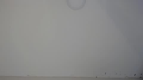 Snapshot of eloisa_ferrer_ chatting on January 2025 08:36:01 AM eloisa_ferrer_ online show from January 2025 08:36:01 AM
