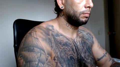 Snapshot of elosocazador chatting on December 2024 11:54:02 AM elosocazador online show from December 2024 11:54:02 AM