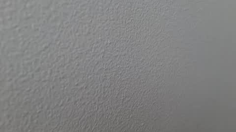 Snapshot of elosocazador chatting on December 2024 07:43:01 PM elosocazador online show from December 2024 07:43:01 PM