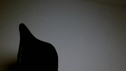 elosocazador online show from April 2026 12:56:01 AM
