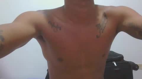 elver online show from April 2026 03:53:02 AM