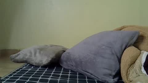 flo online show from December 2025 04:41:04 AM