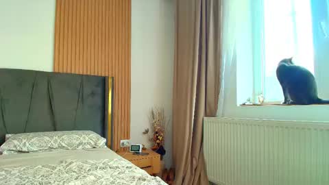 Ely online show from October 2025 07:36:02 AM