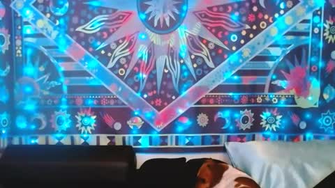 Snapshot of ember_starleena chatting on February 2025 05:31:01 PM Ember Starleena online show from February 2025 05:31:01 PM