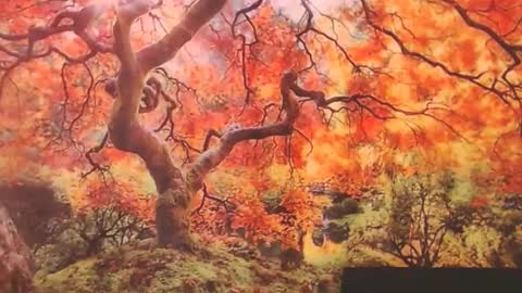 Snapshot of ember_starleena chatting on September 2025 01:16:02 PM Ember Starleena online show from September 2025 01:16:02 PM