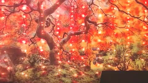 Snapshot of ember_starleena chatting on September 2025 01:49:01 PM Ember Starleena online show from September 2025 01:49:01 PM