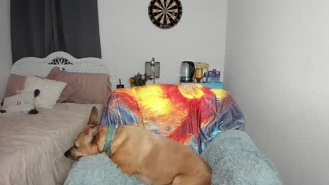 Ember Pheonixxx online show from January 2025 03:12:02 AM