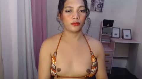 Venice online show from February 2026 05:47:02 PM