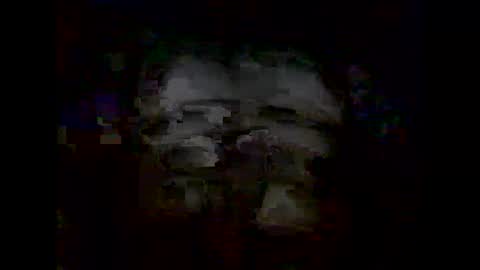 emecuatro20 online show from January 2025 03:47:01 AM