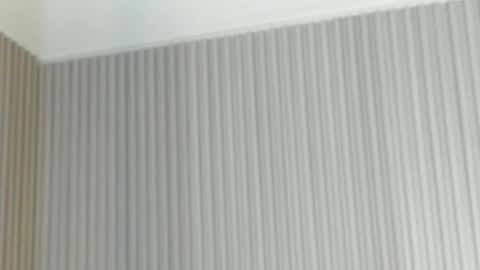 emelie_89 online show from April 2026 11:49:01 AM