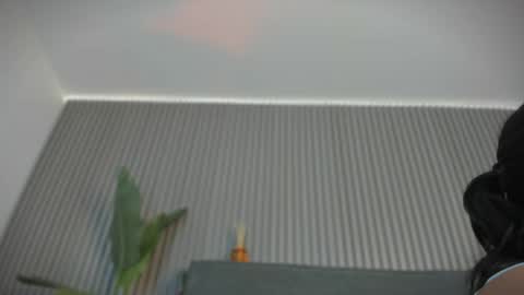 emelie_89 online show from June 2026 11:35:01 AM