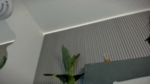 emelie_89 online show from June 2026 11:48:01 AM