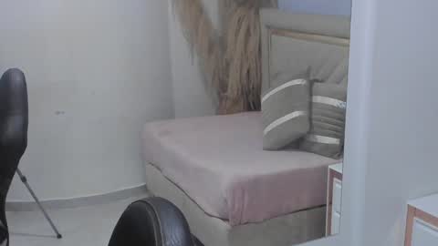 Snapshot of emelie_ch_ chatting on December 2024 06:47:01 AM Emily online show from December 2024 06:47:01 AM