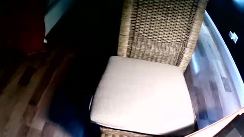 emi4850 online show from December 2024 08:15:01 PM