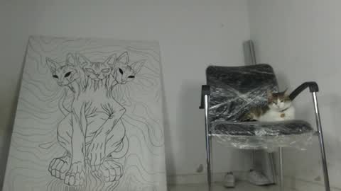 Antonella  online show from March 2026 02:27:02 AM