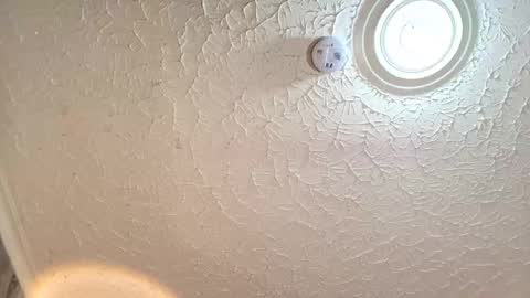 Emiily Carter online show from September 2025 08:24:01 PM