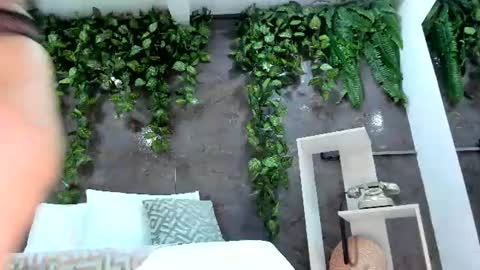 Emily online show from July 2026 02:13:02 PM