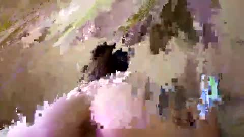 Emily online show from September 2025 08:13:01 PM