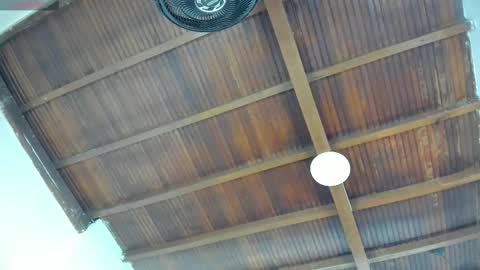 Emily  online show from September 2025 11:03:01 AM