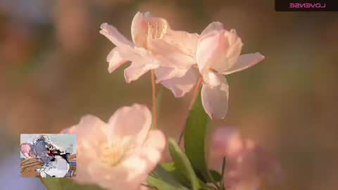 Snapshot of emily_hott1 chatting on November 2025 09:42:01 AM emily hoot1 online show from November 2025 09:42:01 AM