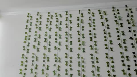 emily online show from February 2026 04:00:02 PM