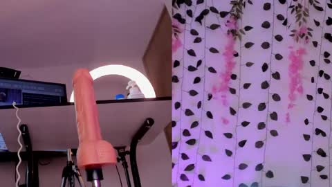 Snapshot of emily_montoya chatting on January 2025 10:24:01 PM Emily online show from January 2025 10:24:01 PM