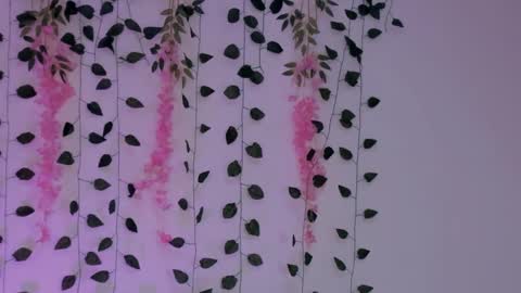 Snapshot of emily_montoya chatting on January 2025 02:38:02 AM Emily online show from January 2025 02:38:02 AM