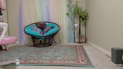 Snapshot of emilyshaze chatting on October 2025 06:26:02 PM emily haze online show from October 2025 06:26:02 PM