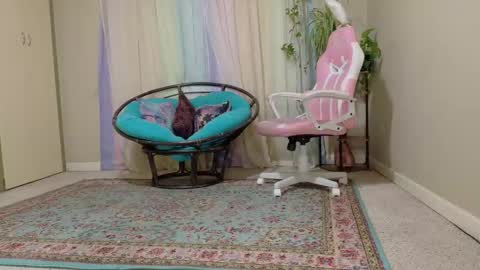 Snapshot of emilyshaze chatting on November 2025 05:56:02 PM emily haze online show from November 2025 05:56:02 PM