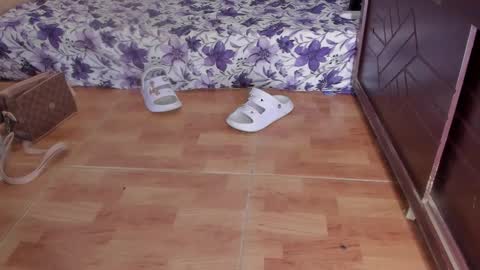 whises lits        online show from October 2025 02:16:01 PM